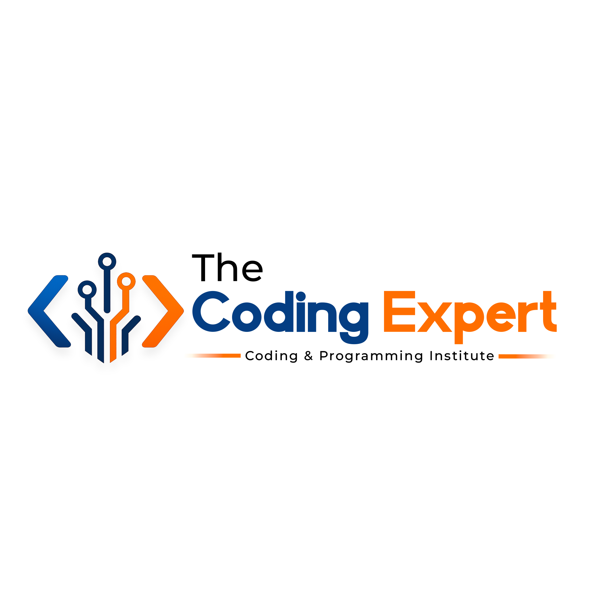 The Coding Expert